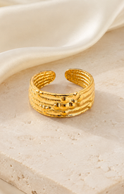 Selah Gold-Plated Steel Ring jewelry product view