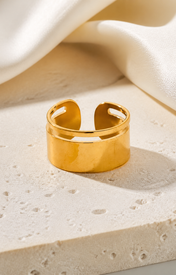 Giselle Gold-Plated Steel Ring jewelry product view