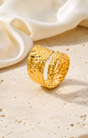 Hazel Gold-Plated Steel Ring jewelry product view