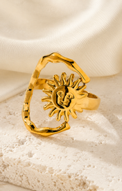 Perrin Gold-Plated Steel Ring close detail