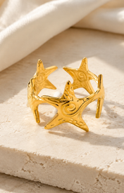 Quinlan Gold-Plated Steel Ring close detail