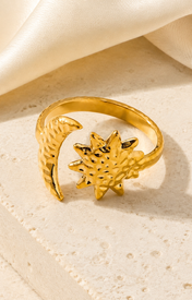 Tessaly Gold-Plated Steel Ring close detail