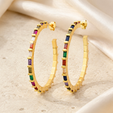 Coral C-Shape Zirconia Earrings jewelry product view