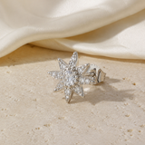 Heart & Crown Zircon Stud Earrings III close detail