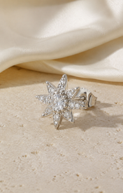 Heart & Crown Zircon Stud Earrings III close detail