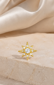 Heart & Crown Zircon Stud Earrings III jewelry product view