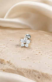 Heart & Crown Zircon Stud Earrings VI jewelry product view
