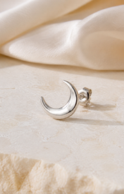 Heart & Crown Zircon Stud Earrings XVI close detail