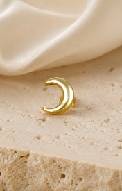 Heart & Crown Zircon Stud Earrings XVI jewelry product view