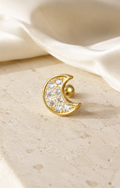 Heart & Crown Zircon Stud Earrings XVIII jewelry product view