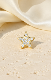 Heart & Crown Zircon Stud Earrings XIX jewelry product view